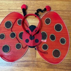 Ladybug Costume Wings and Headband